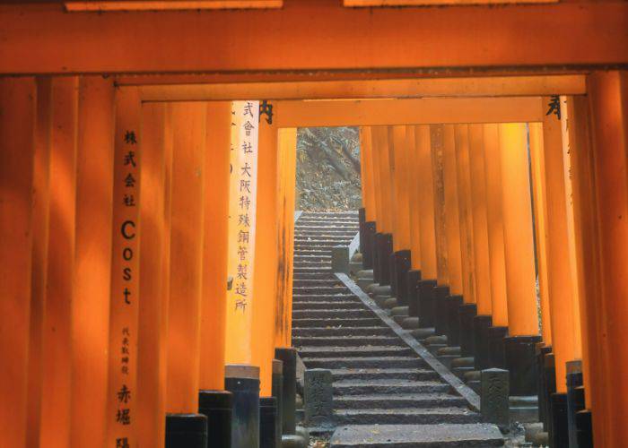 The many steps of the hiking trail up Fushimi Inari Shrine, walking through thousands of vermillion torii gates.